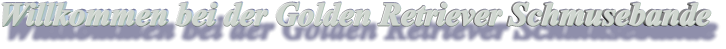 Willkommen bei der Golden Retriever Schmusebande